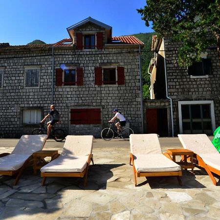 A Hundred Olive Trees Apartments Котор Экстерьер фото